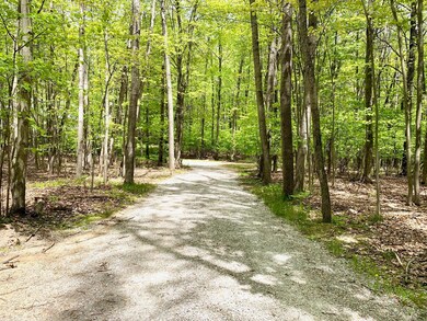 Lots 1-8 Adams Roosevelt, Roscommon, MI 48653 - photo 7