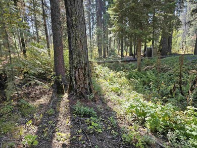 1788 Lark Trail, Donnelly, ID 83615 - photo 4