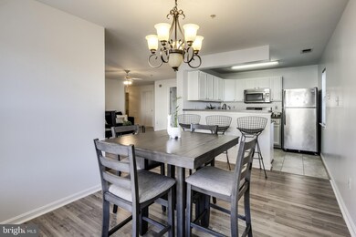 9100 Gracious End Ct unit 204, Columbia, MD 21046 - photo 6