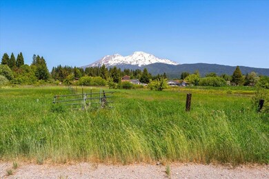 Parcel 1,2,3 Pine Field St, Mount Shasta, CA 96067 - photo 2