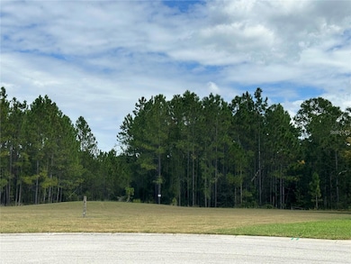 0 Shooting Star Ct, Riverchase, FL 34655 - photo 7