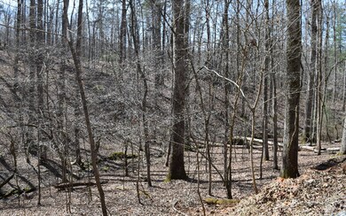 Additional View