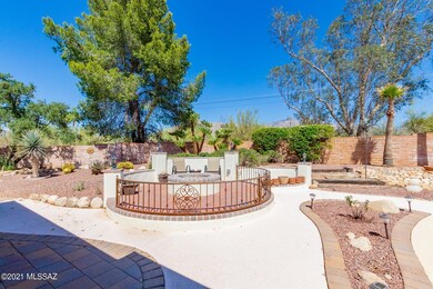 Backyard 1