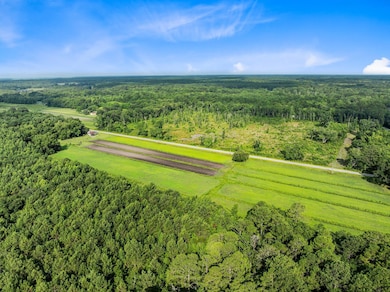 0 Oakville Rd unit 25032033, Hollywood, SC 29449 - photo 7