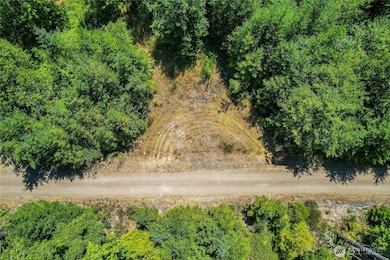 0 Lot 3 SE Yeshua Ln, Port Orchard, WA 98366 - photo 5