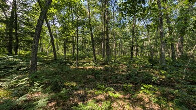 V/L E Stark Rd, Free Soil, MI 49411 - photo 4