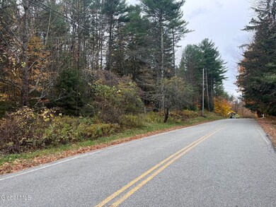 L35 Truesdale Hill Rd, Lake George, NY 12845 - photo 4