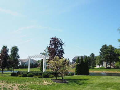 back yard with pond