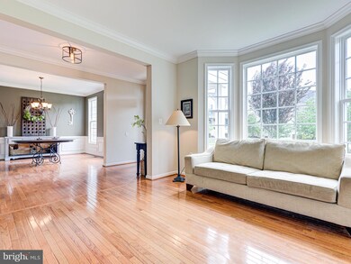 825 Kinvarra Place, Purcellville, VA 20132 - photo 6