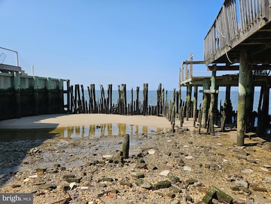 116 Delaware Ave, Downe, NJ 08321 - photo 3