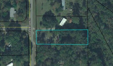 0 Catherine Rd unit 286286, Crawfordville, FL 32327 - photo 5