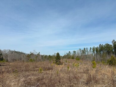 0 Old Middleton Rd unit 22775401, Elberton, GA 30635 - photo 5