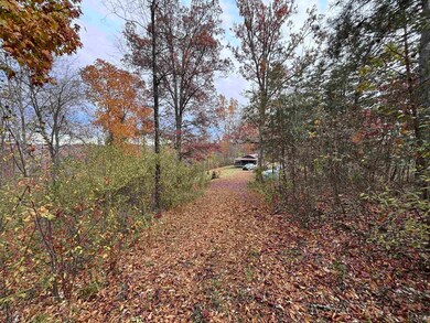 1142 Roscoe Davis Cemetery Rd, Genoa, WV 25517 - photo 5