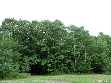 Land/Lot.