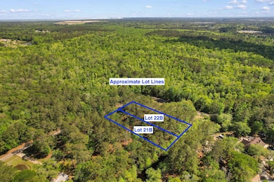 Birds eye view of property featuring a forest view