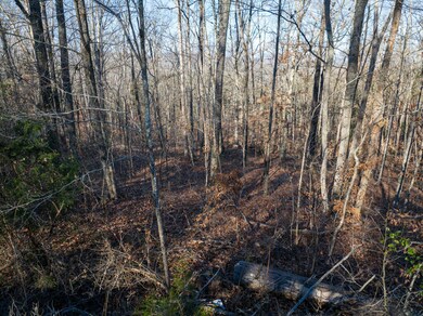 5 Garland Rd, Burnside, KY 42519 - photo 5