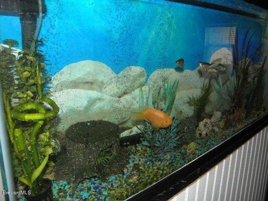 Tank Upclose