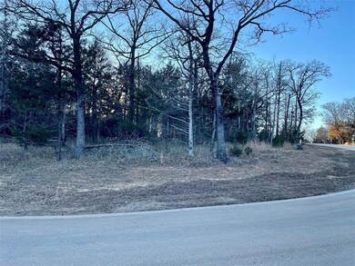 Lot 13 Castle Pines Cir, Whitesboro, TX 76273 - photo 6