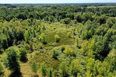 1473 W 450 N, Albion, IN 46701 - photo 6