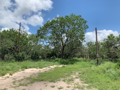 Sendero Creek Ranch Tract 6, San Diego, TX 78332 - photo 3