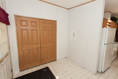 514 Michael Ln, Chenoa, IL 61726 - photo 2