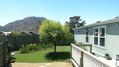 IMG_20170503_134447772 - Copy (5)