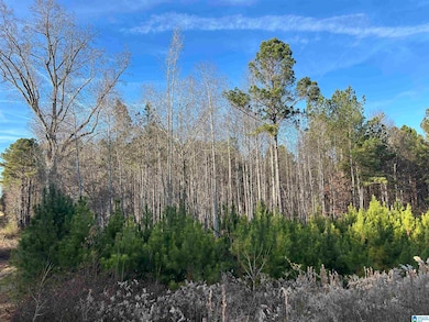 0 Highway 431 unit 21438889, Heflin, AL 36264 - photo 7