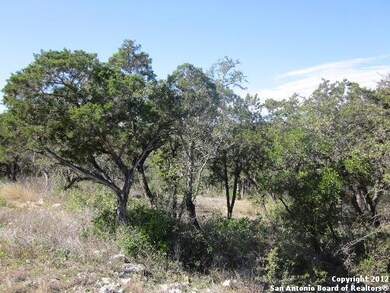 18643 Shadow Canyon Dr, Helotes, TX 78023 - photo 6