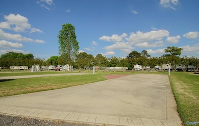 10174 County Road 67 unit LOT 41, Langston, AL 35755 - photo 6