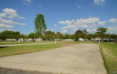 10174 County Road 67 unit LOT 47, Langston, AL 35755 - photo 6