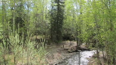 IMG_8794