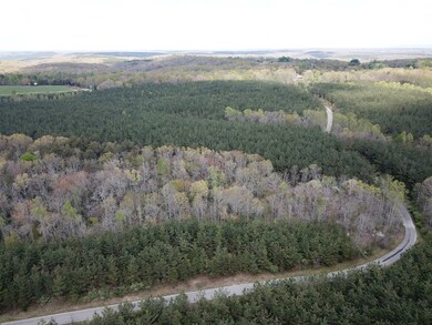 0 Thomas Springs Rd unit 204214, Crossville, TN 38572 - photo 5