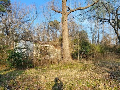 13891 Mcgregor Rd, Conroe, TX 77302 - photo 2