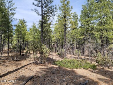 2350 S Trillium Lane
