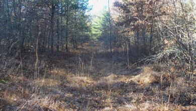 Lot 4 Mclain Rd, Grantsburg Township, WI 54840 - photo 3