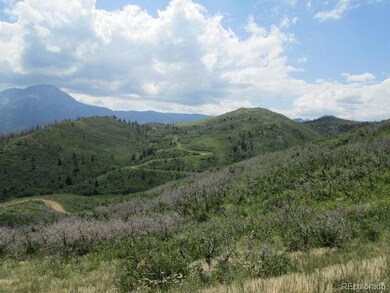 Lot 32 Raspberry Mountain Ranch unit 32, La Veta, CO 81055 - photo 2