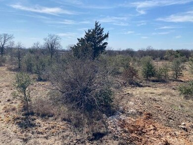 1295 Sandy Ln, Weatherford, TX 76088 - photo 6