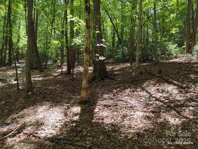 00 Shumont Estates Dr unit 50, Lake Lure, NC 28746 - photo 4