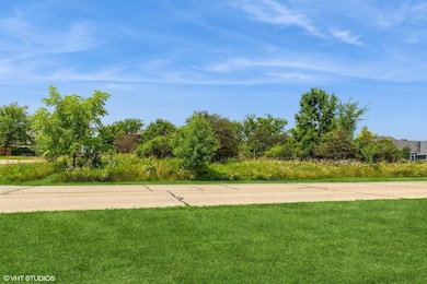 1750 WALES W VIEW OF LOT