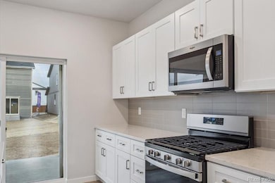 2146 Flower Blossom Ave, Brighton, CO 80601 - photo 5