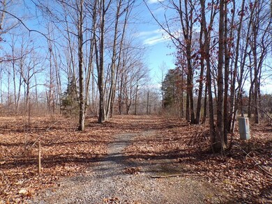 0 Stonewall Rd unit 16 41395, Concord, VA 24538 - photo 7