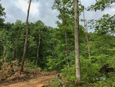 East Branch Rd 32 acres