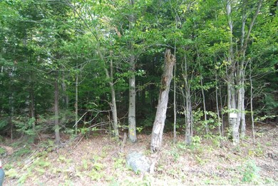 Lot 7 Cole, Cummington, MA 01026 - photo 2