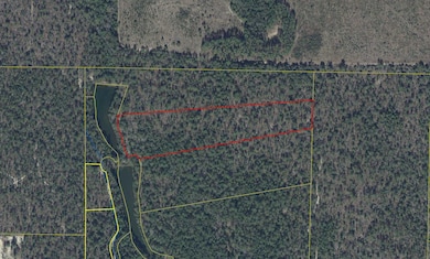Aerial 10.3 Acres Thrush Pl