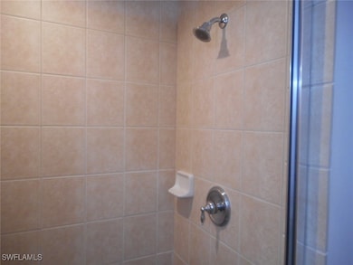 Room details with tiled shower
