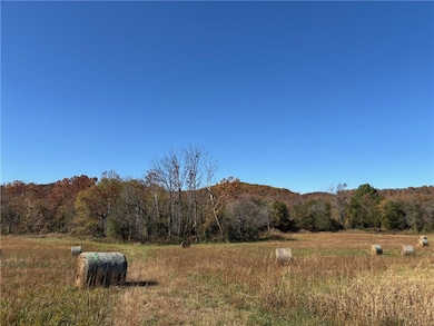 0 State Highway 374, Saint Joe, AR 72675 - photo 7