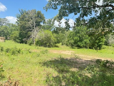 View of wooded area