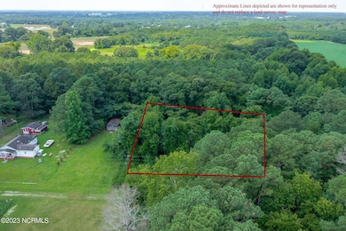 0 Hickorynut Dr, La Grange, NC 28551 - photo 4