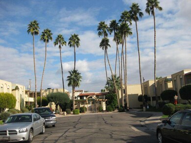 Palm Tree Lined Street