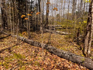 Lot3A Gardiner Rd, Jefferson, ME 04348 - photo 5